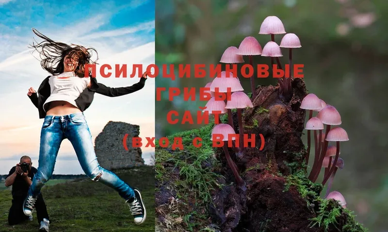 Галлюциногенные грибы Cubensis  Козьмодемьянск 